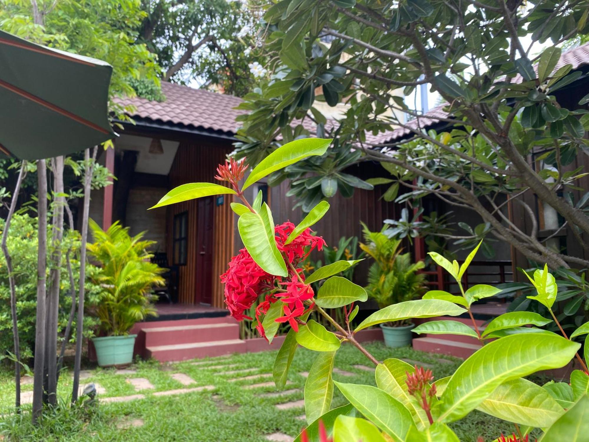 Habana Angkor Boutique Hotel Siem Reap Extérieur photo